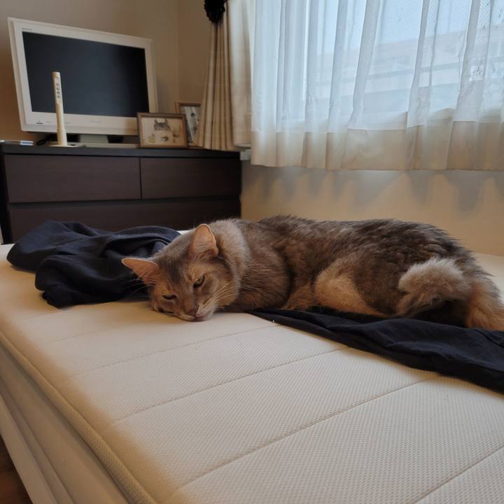 706263d4 d4fd 483b a36f 12fc96bf9e09 1629260990997