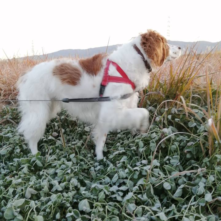 70626899 c9e8 4ca0 afdc 55f7219ea7fa 1576471695107