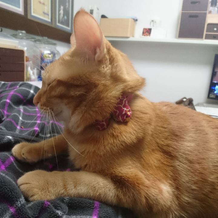 70629b29 27dd 47b2 9e7b 52c58bae9e0d 1509839976459