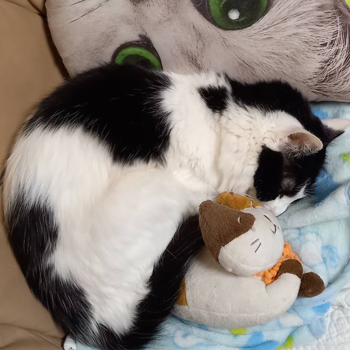 7062a29e e80a 4186 b802 4211c32df154 1642928023890