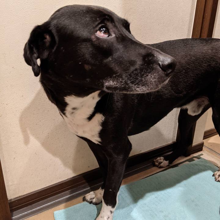 7062b6e4 4a6b 41b2 959e 87b1cad085a3 1634986685189