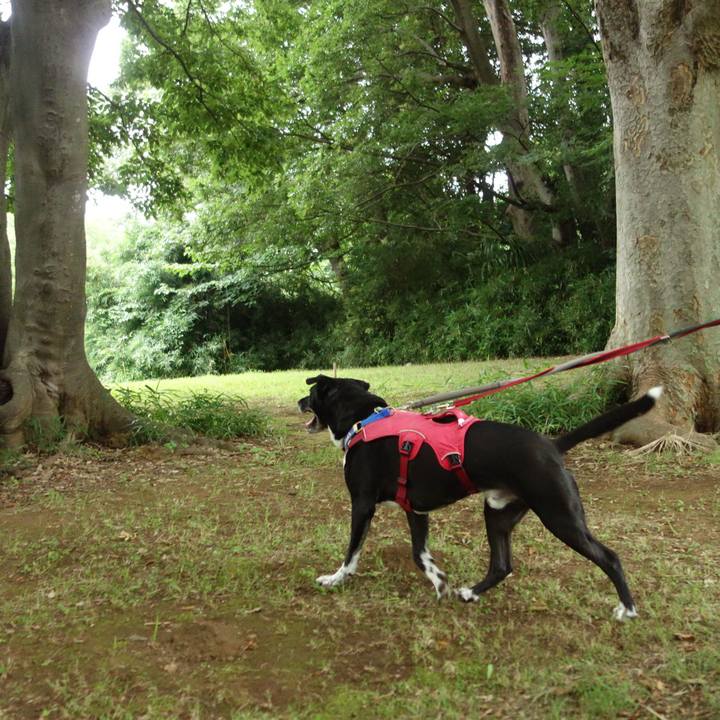 7062e84f 1452 4415 aad3 1e127dd51e18 1688778600371