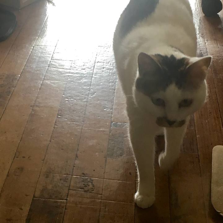 7062f859 5555 4440 966c 378e46ebe0ed 1523834010293