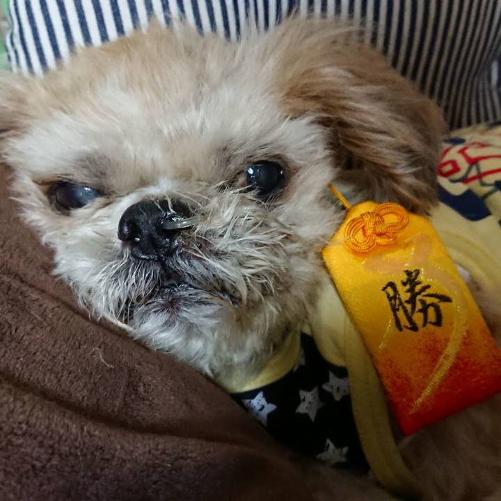 7063199f 9fc0 4580 8c4d 79f22cd4d33e 1540043414276