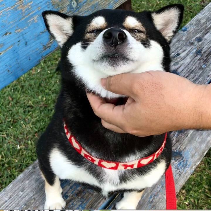 70631e6a e210 4ab3 8576 0e4d4cd47338 1540605023256