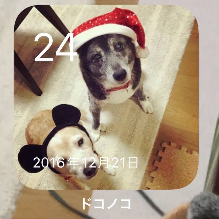 70632189 97fc 4d3b 9d87 d5024c0bf3aa 1640303351361