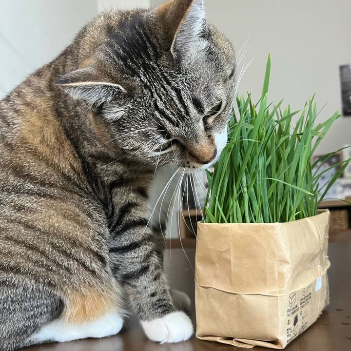 70635149 23b0 444a b069 167424c5e0ba 1748149884353