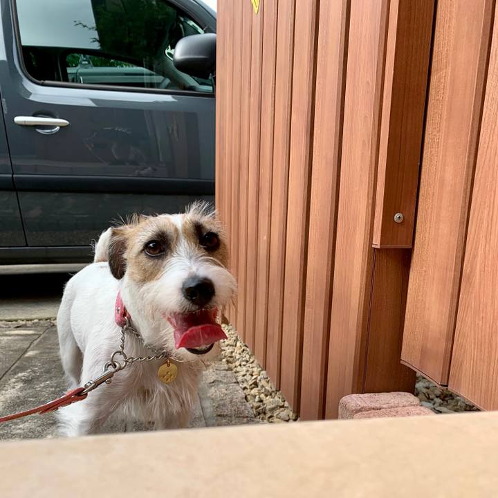 7063ac5b 57cc 45c7 bd53 927ea12d37b1 1629331790644