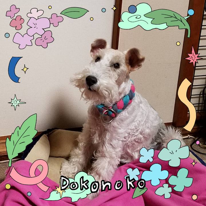 7063b8a8 a2f5 47e2 b337 662cab666450 1717627634571