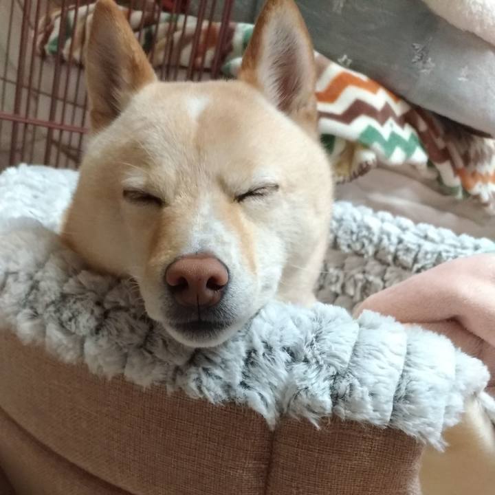 70640fcb e098 497a 80e1 d60622afbbe8 1580110121453