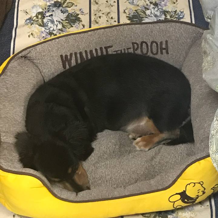 70643aa5 437f 469f ba0e 0f0dc6a4dd3f 1533592840882