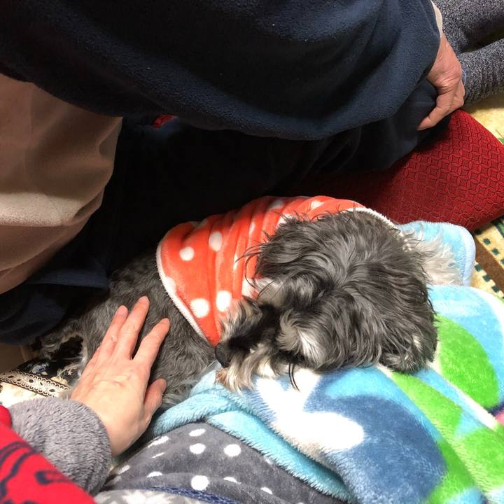 70647ab9 7c29 4d10 9bfb 5674c2d6d284 1645016563850