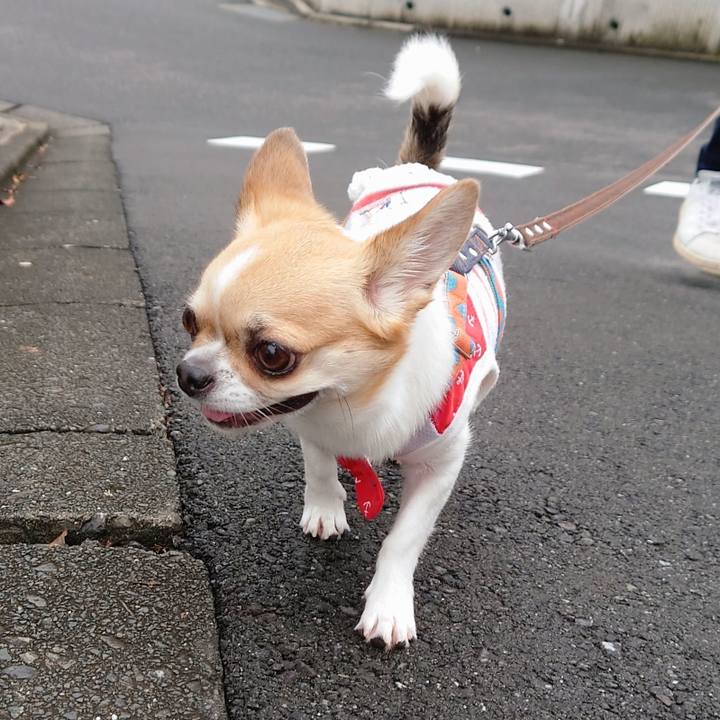 70648a83 4ff2 4870 987d 169356308142 1625872754450