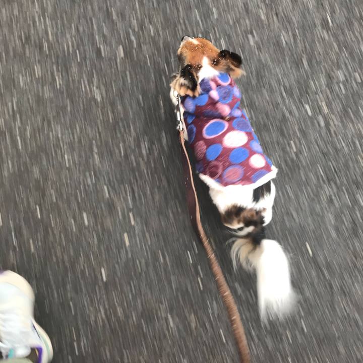 7064bd2c 9194 4bc1 bd59 cb071f710bff 1516586144551