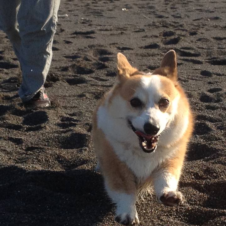 7064fa66 c1c4 48c8 a456 979b6df650fb 1525602928498