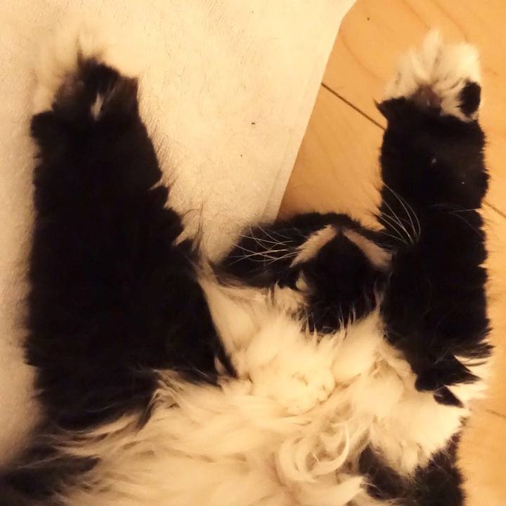 706571cd 32cc 4182 823e a576e60492d2 1512751999005