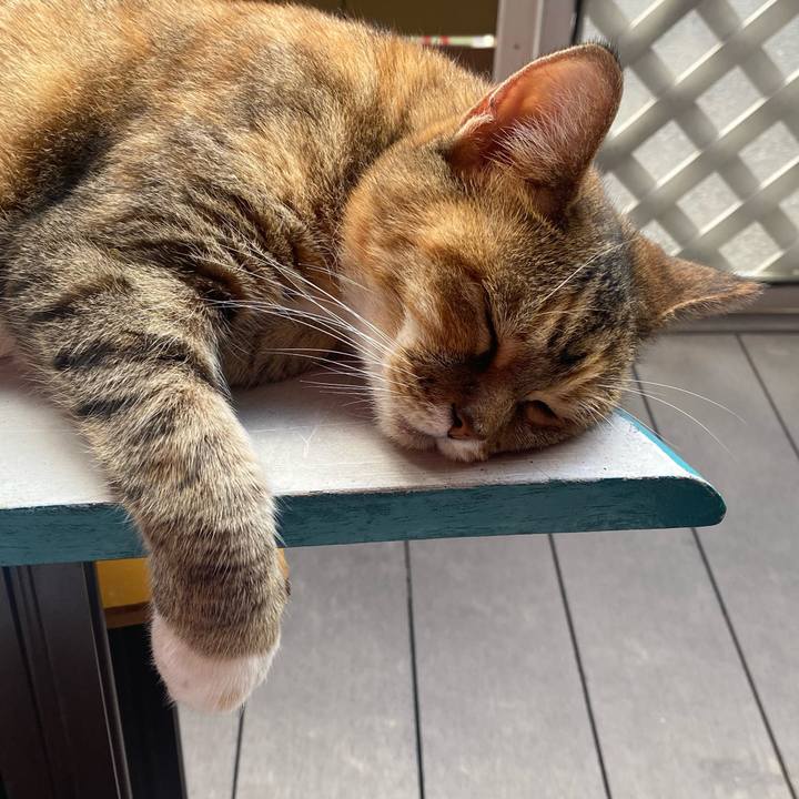 70657de5 1014 4375 b441 5869191ff2ea 1627195042107