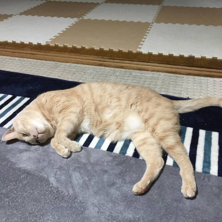 70657e87 caee 42ae 9239 5a654edce1fd 1529584888868