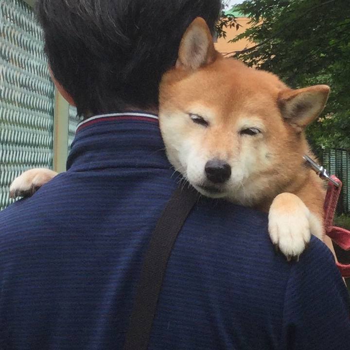 7065ce04 dee7 4f4b 8120 ec3eec35d6ad 1594613925847