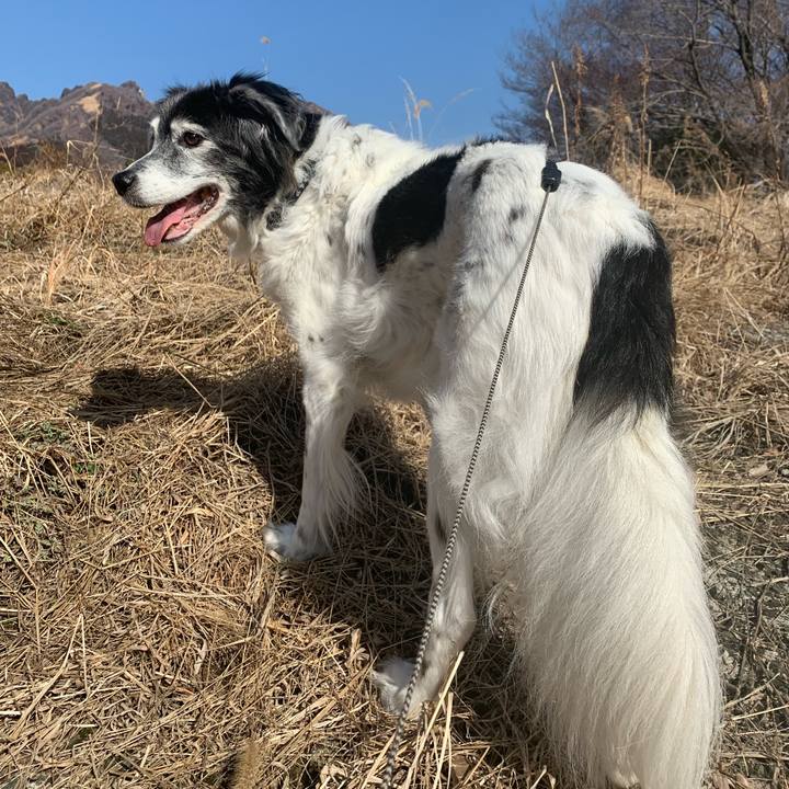 7065d057 3a4e 4331 86ba 8b1ec81bbdce 1676181740528