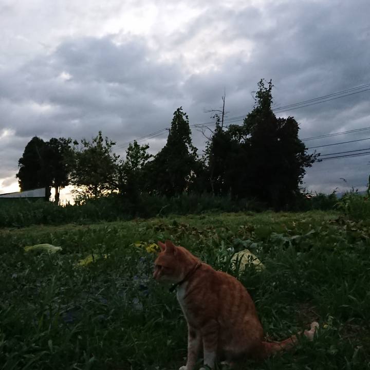 7065d0d8 2ecf 417c b86c 327c83857f64 1565863637473