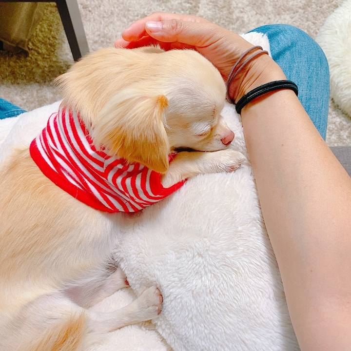 7065ee84 64ea 4af3 841f be13237c3c9a 1632719682943