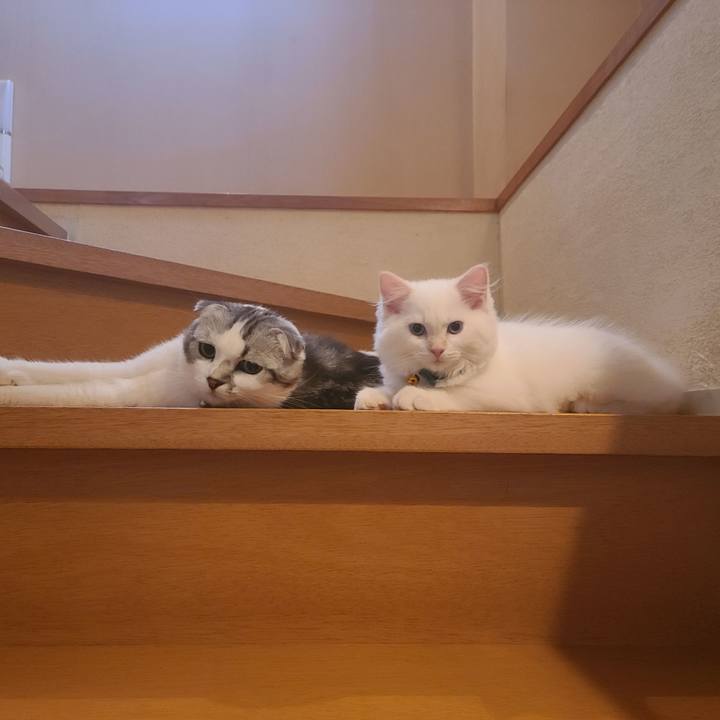 70664373 83d8 460b a947 07bb4d1cccb5 1656017425478