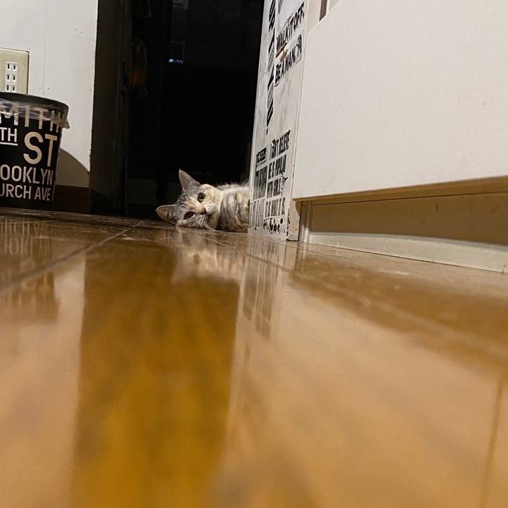 706652c8 93aa 4cf3 a64b ebcd6a57808c 1681645281316