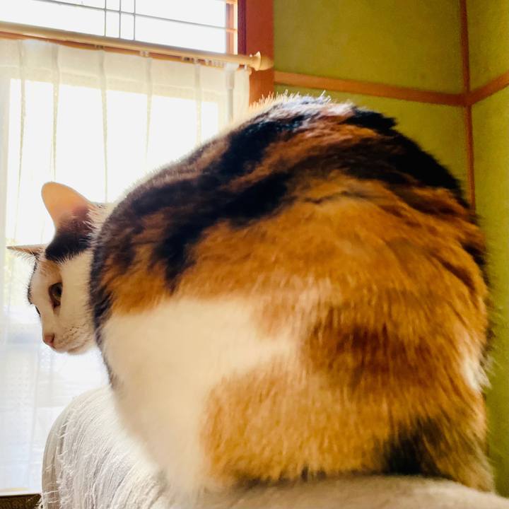 7066b09b 174d 458d b08e 21e00ff9d874 1614564168499