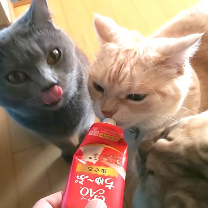 7066bf2e 7ce8 498d 886b f1dd2ce1f052 1570334150138