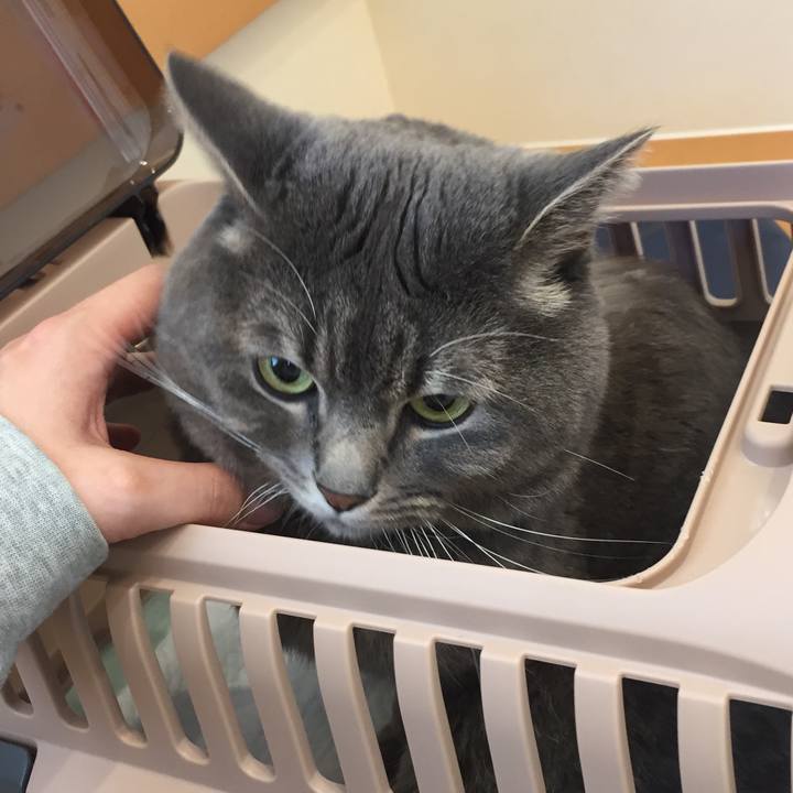 7066d1e6 e346 4b76 b658 aed3dab664af 1526818246642