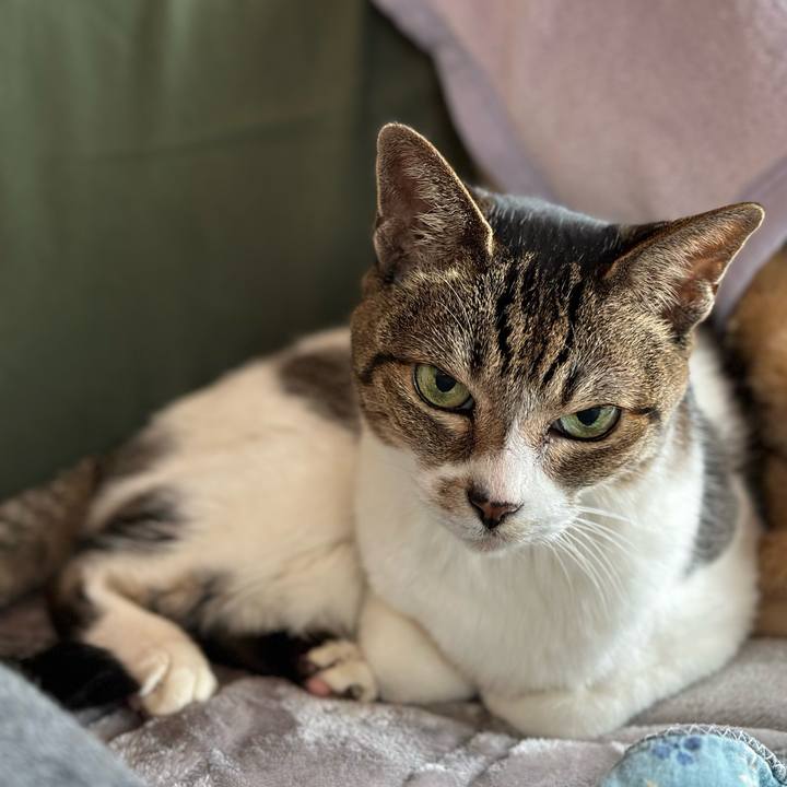 7066f02f 012e 44b2 af9c 2ac88a4a68eb 1672713640210