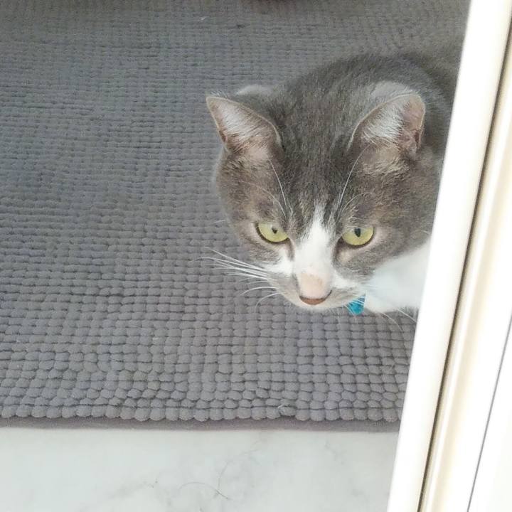 7066fa08 8a24 4ab2 b9d8 4a5520d5d8e0 1632385796274