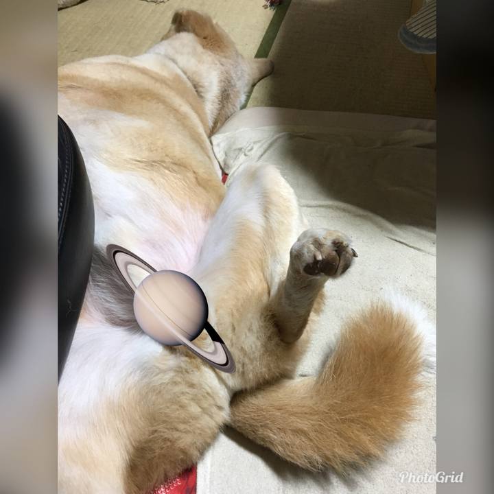 70670eb2 9aaa 4e8d b78c 9c03f87ba19b 1527692161624