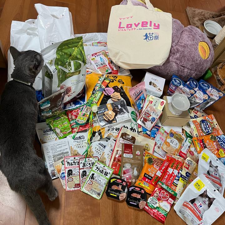 7067240a 2eca 4ab4 a0d5 97f062dc70a0 1697351945107