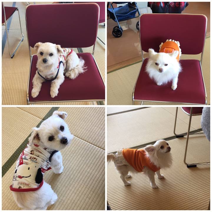 70673921 b462 4a02 998b 0009e7d3d43d 1552635032911