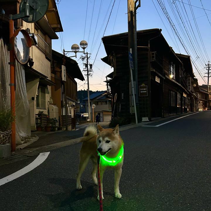 70673ac9 4224 4597 b669 782821f8e753 1718450641915