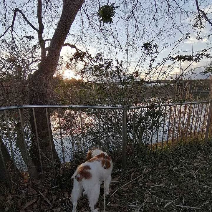 70673d5e 0d50 4d6a 8d58 8f74cb1c11d4 1579075835562