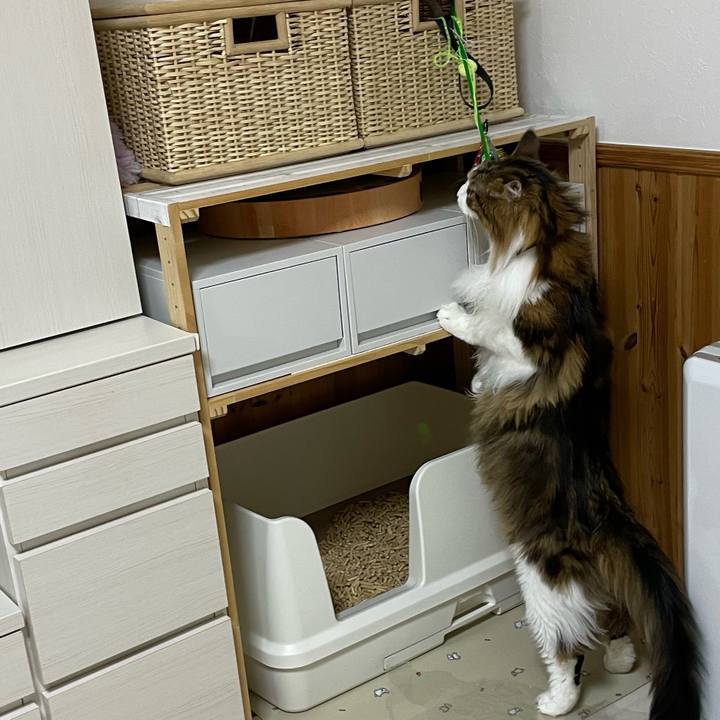 70676245 f4bc 4de7 b954 a86667f7b0a6 1676409594170