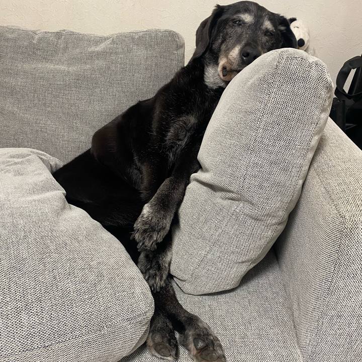 70677e9d 1367 42da af9a 81fcd2069a49 1753836200540