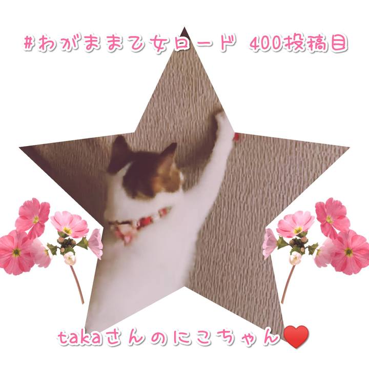 70678cfe eef1 42f5 8e0f b43bccbdb9c8 1569325031011