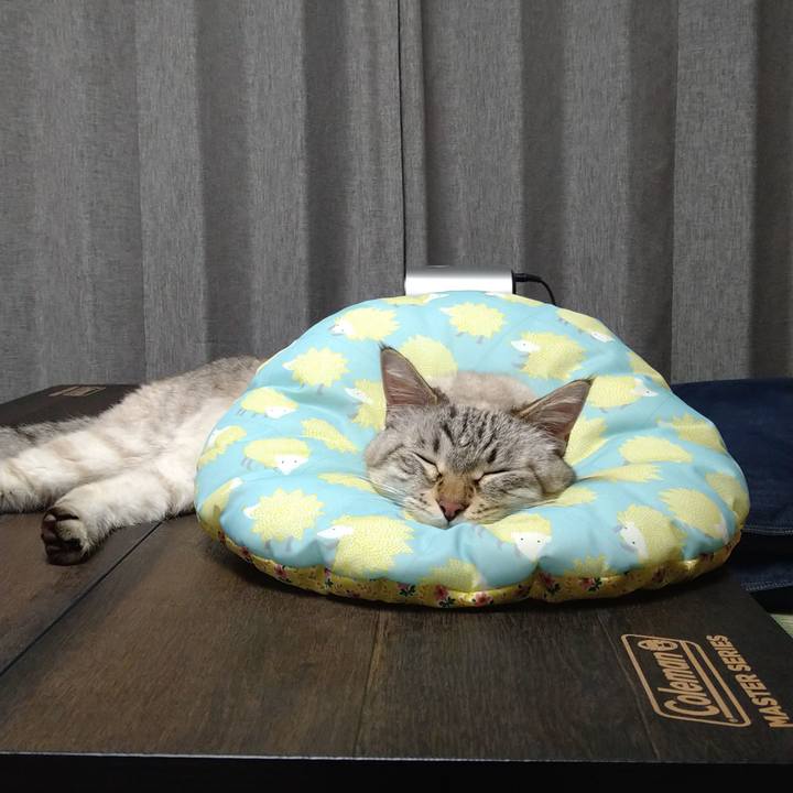 7067b9a0 67e5 463e 947e 43369326da9b 1689518874189