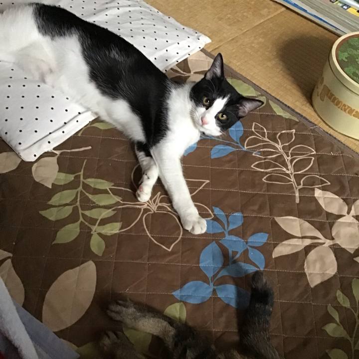 7067cc6e 0c2e 4098 a7d9 02ecfcfb1117 1634028382134