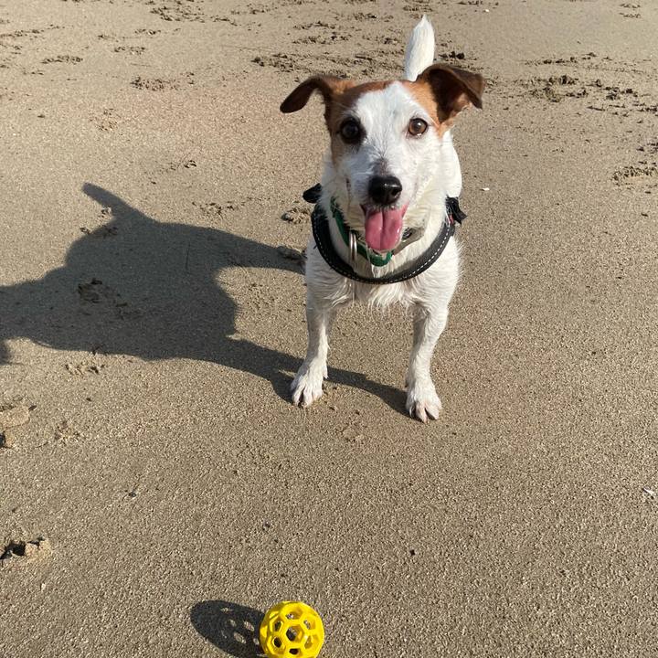 7067cd32 8d58 4ed5 8f08 3944796cee9b 1765072543781