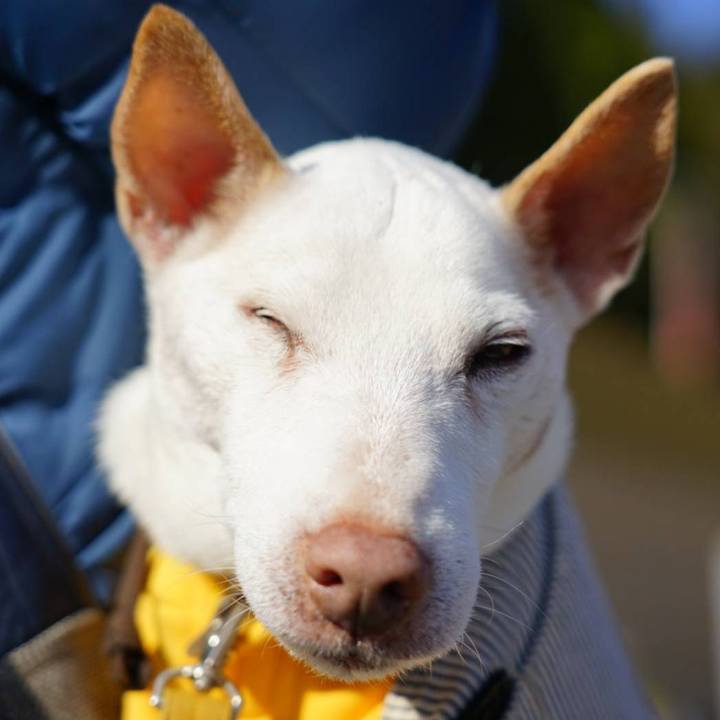 7067e896 6402 4318 80c9 b0b5d6a7d9c7 1546363976267