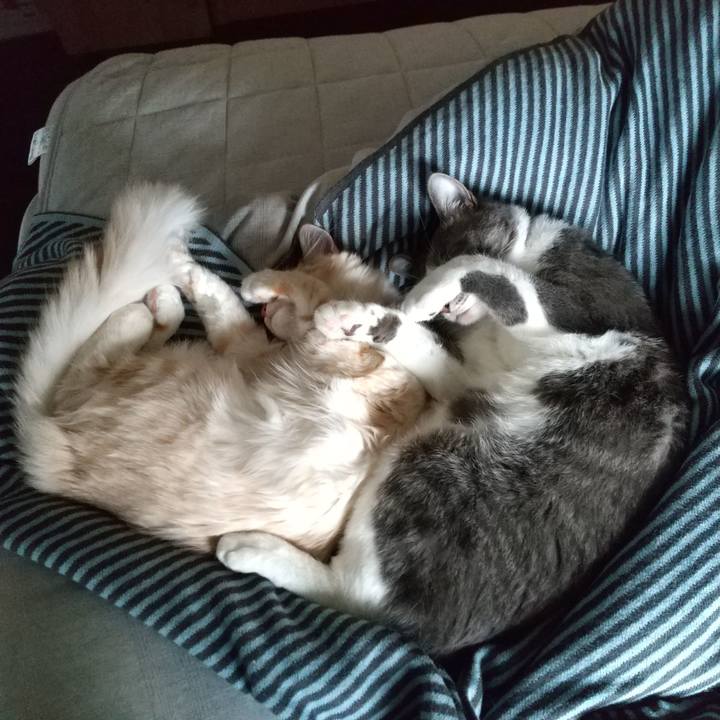 7067f7db f8c4 40c5 afa5 66009c06f252 1616285064628