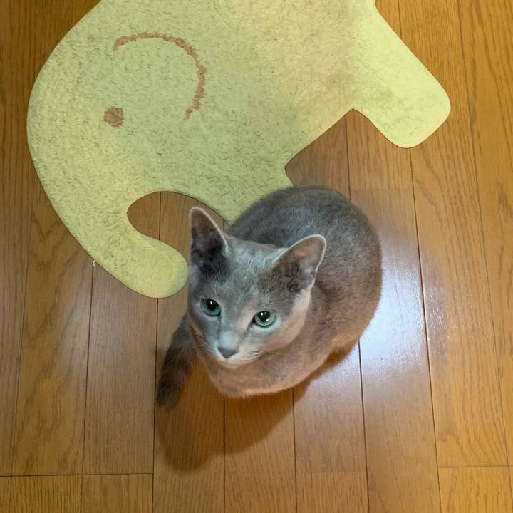 70681792 233d 4439 b3ab 2d6c5f248048 1575360168880