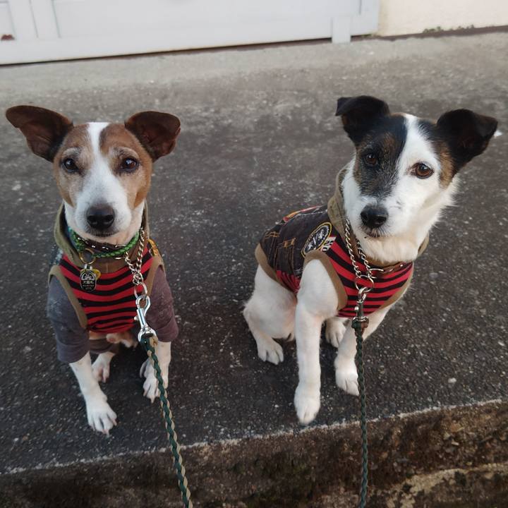 70681e46 b6fb 4fae b575 8aa46c676144 1770189564634