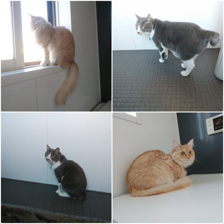 7068218c 5901 4d31 8d91 3a977a2a0634 1644023877700