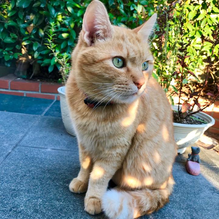 7068c63a 7d94 4a6f b376 b3efb66b729a 1539601617402